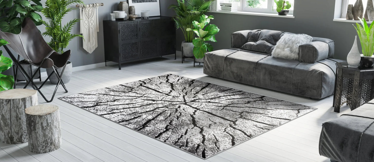 Kilimas 120x170 BCF LUXURY, minkštas, modernūs raštai