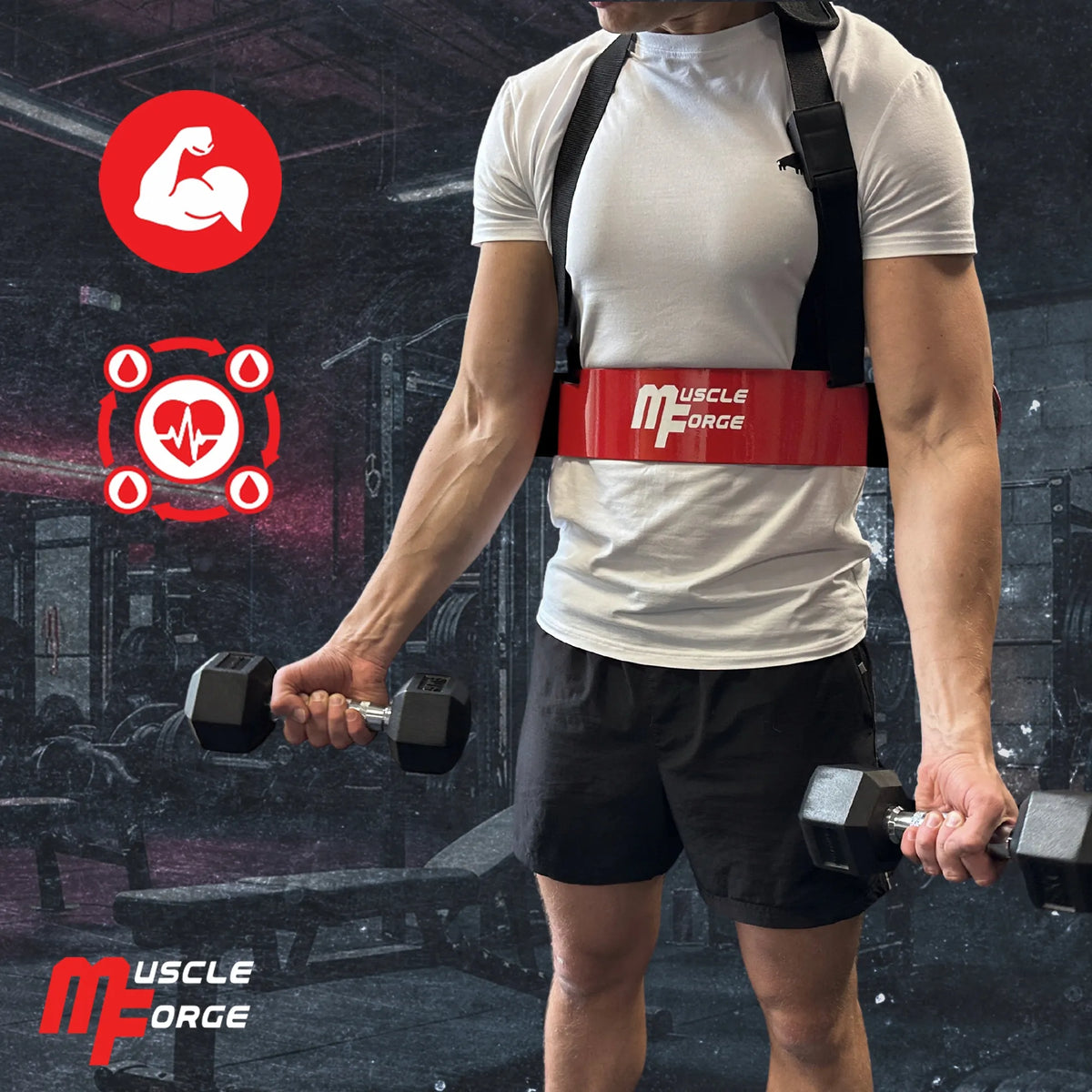 ARM BLASTER MuscleForge® bicepsų treniruoklis