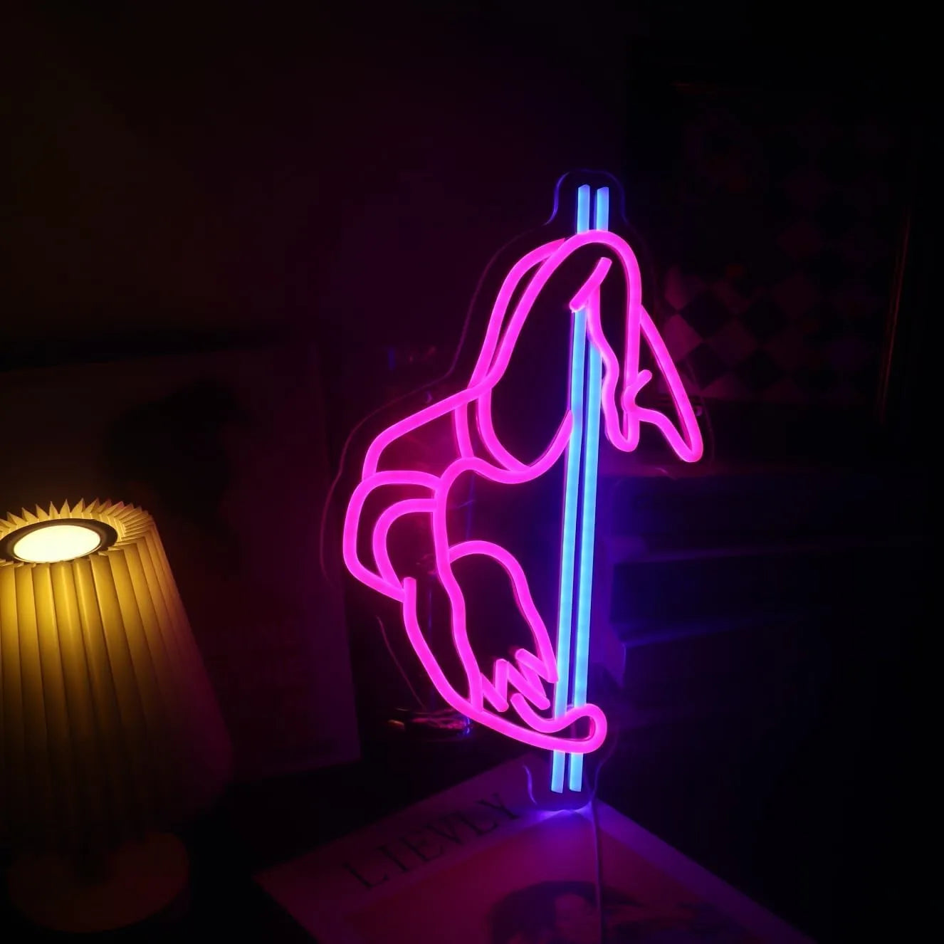 Dekoratyvinis LED neoninis ženklas Wanxing SEXY DANCING GIRL, spalvotas, pritemdomas, 39x25 cm, USB