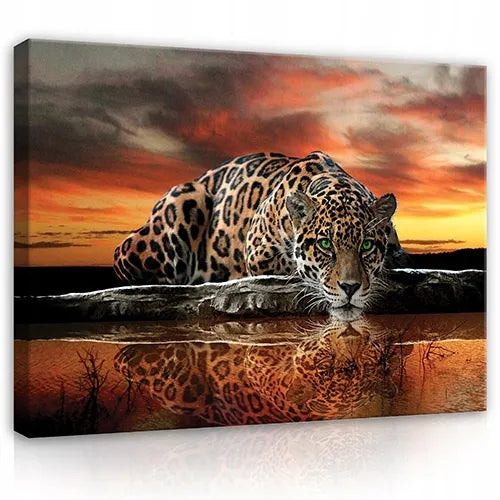 Drob drobė ant drobės JAGUARAS SAFARI miegamajam svetainei didelis XXL 120x80
