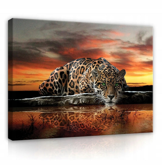 Drobė su tigru – didelis safari stiliaus paveikslas svetainei ir miegamajam 100x70 cm