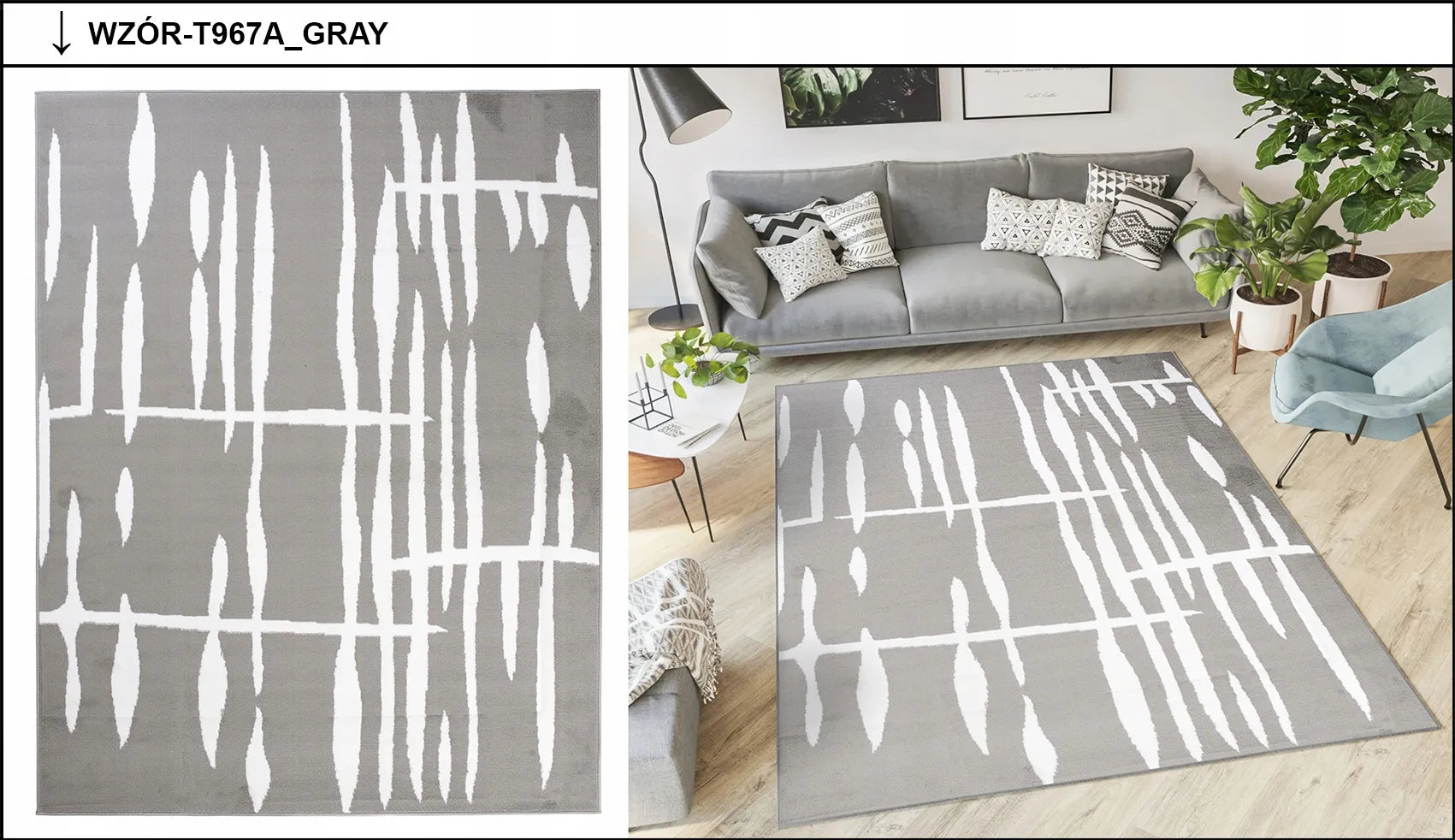 Dywany Chemex ALFA 220x300 BCF 100% PP turkiškas kilimas