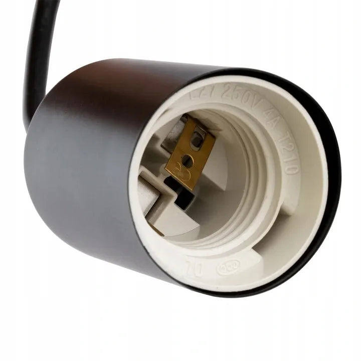 Kabantis lubinis šviestuvas ZWIS Edison Loft E27 PAJĄK