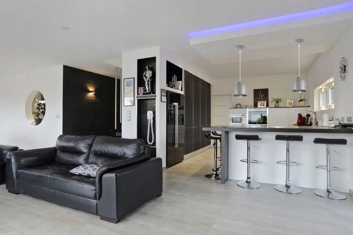 Kabinamas lubinis šviestuvas „Pattaya“ 2102/1P, vieno šviesos šaltinio, juodas ir baltas, loft stiliaus