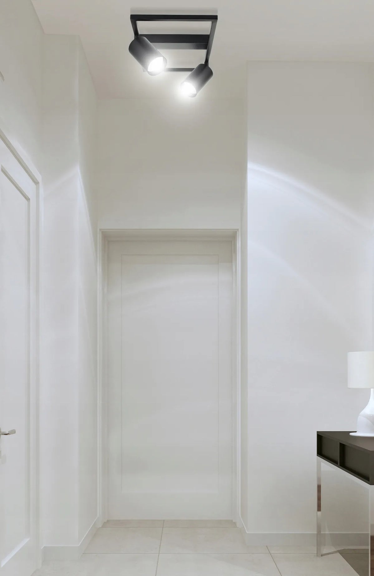 Lubinis paviršinio montavimo šviestuvas Luxolar 2 x GU10 LED, juodas, su pasukamais reflektoriais
