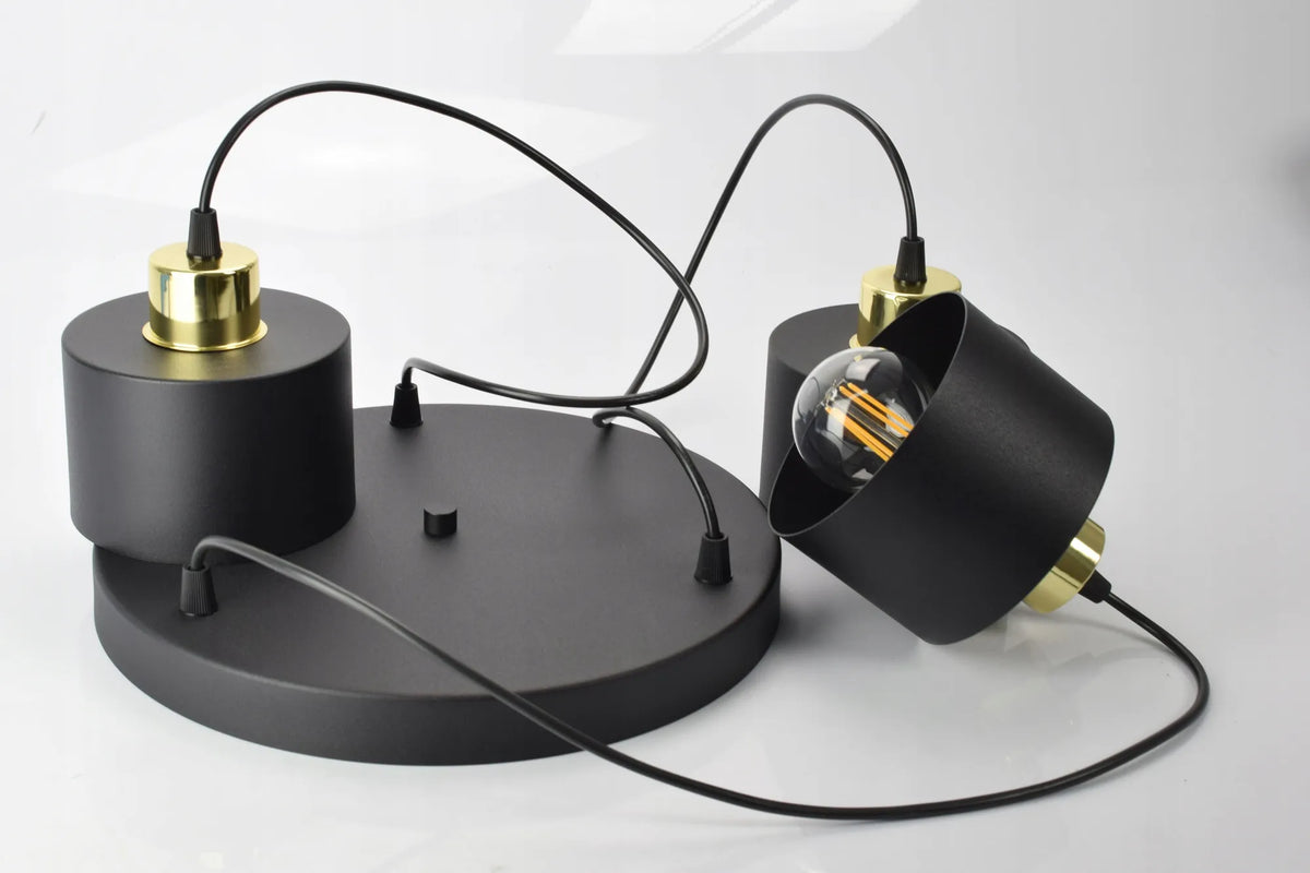 Lubų lempa, šviestuvas Classic Spot EZ3 LED E27 Black Gold