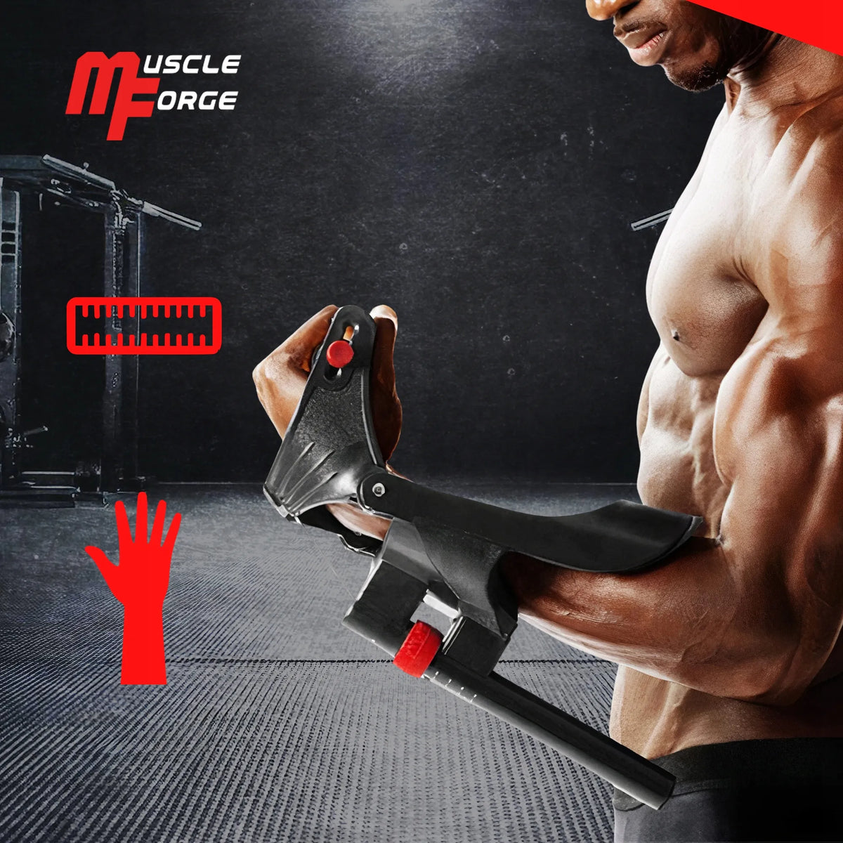 MuscleForge dilbio ir sukibimo jėgos treniruoklis