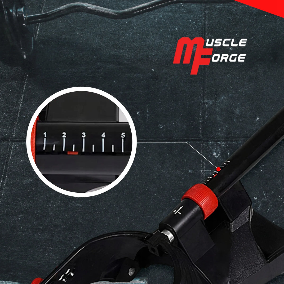 MuscleForge dilbio ir sukibimo jėgos treniruoklis