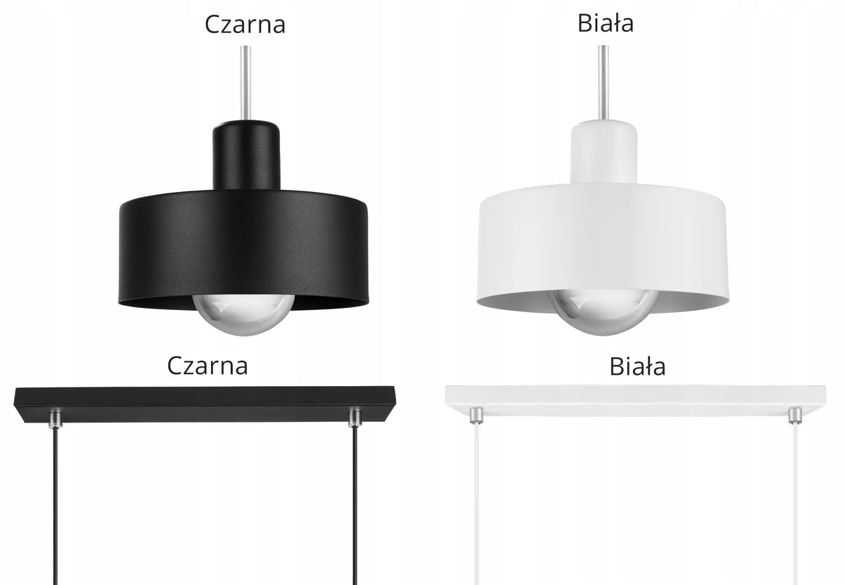 Pakabinamas lubinis šviestuvas „Light Home Barcelona“ – juodas ir baltas, 2 šviesos taškai, modernus lofto stilius