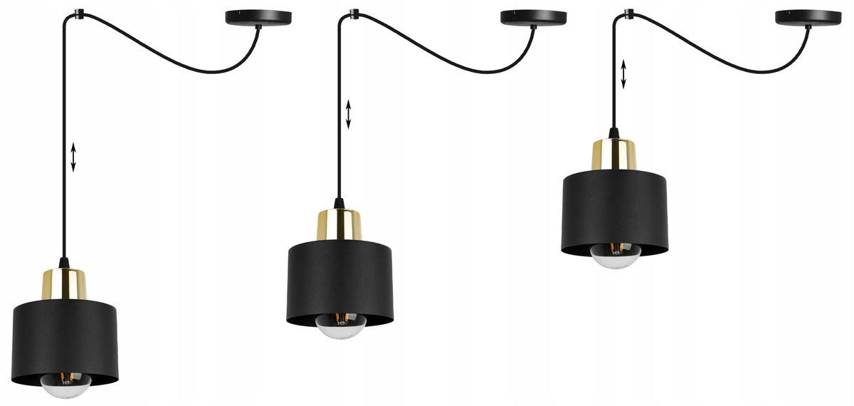 Pakabinamas lubinis šviestuvas „Light Home Panta“ – vienvietis, juodas, metalinis, lofto stiliaus