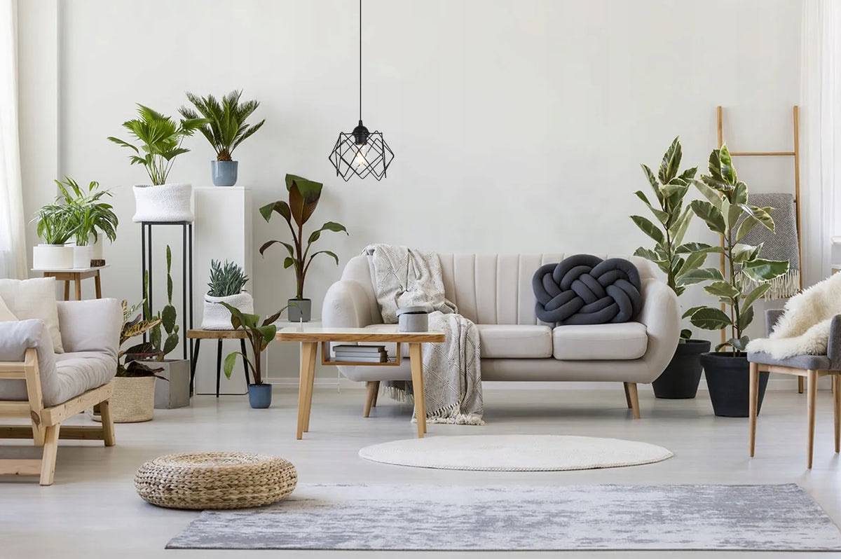Pakabinamas lubinis šviestuvas „Stella“ – juodas modernus loft stiliaus šviestuvas svetainei, virtuvei, E27