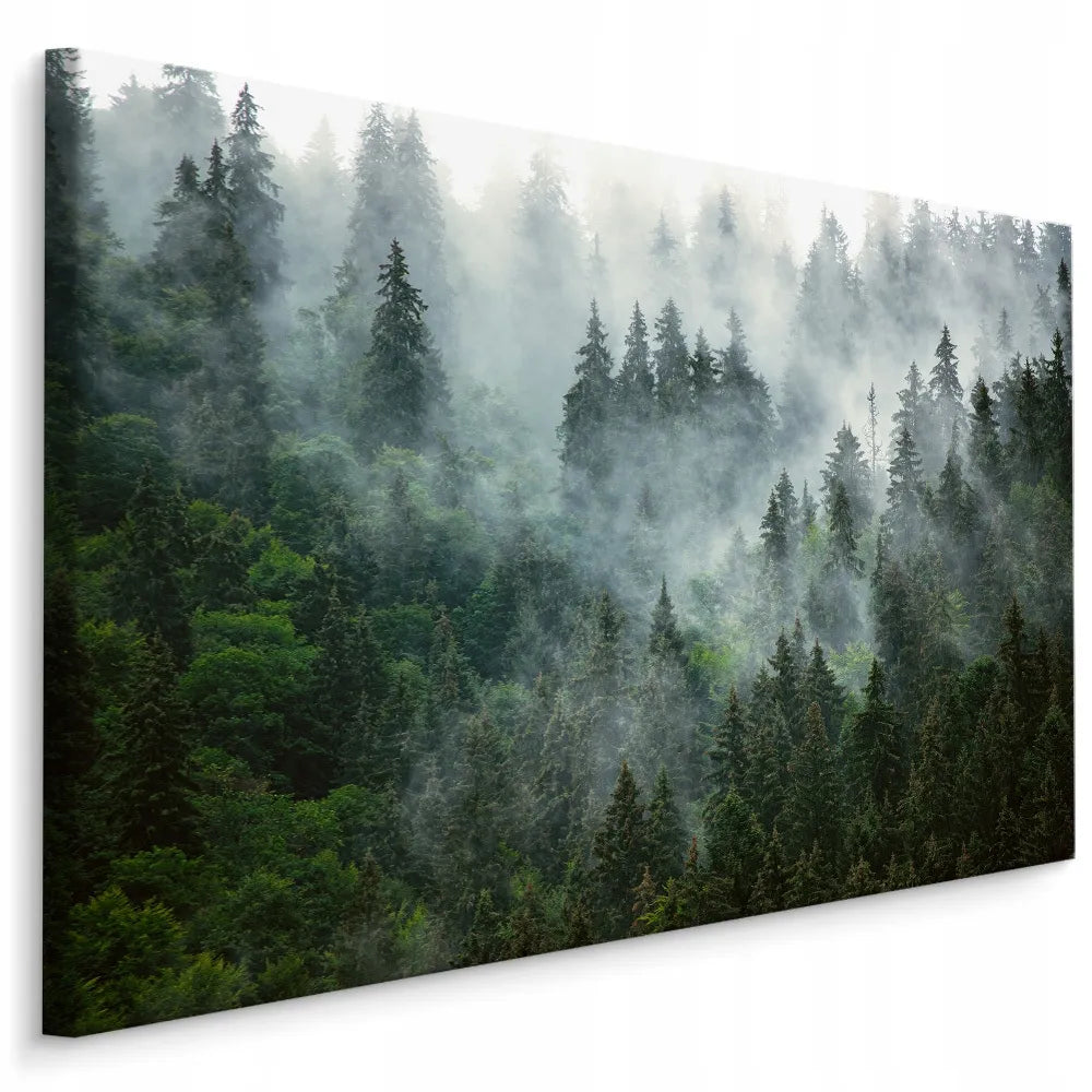 Paveikslas miegamajam svetainei Miškas rūke kalnai gamta kraštovaizdis sienai 120x80