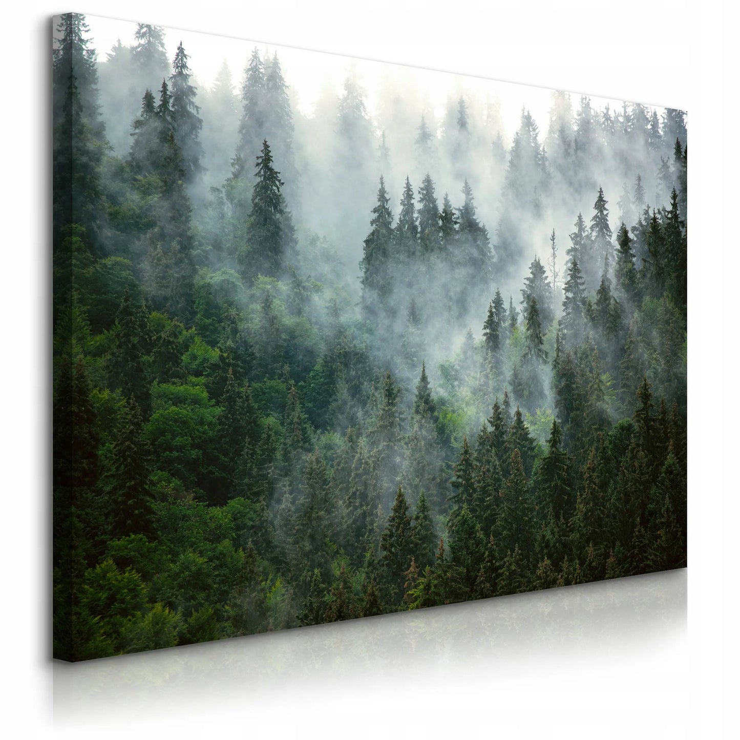 Paveikslas miegamajam svetainei Miškas rūke kalnai gamta kraštovaizdis sienai 120x80