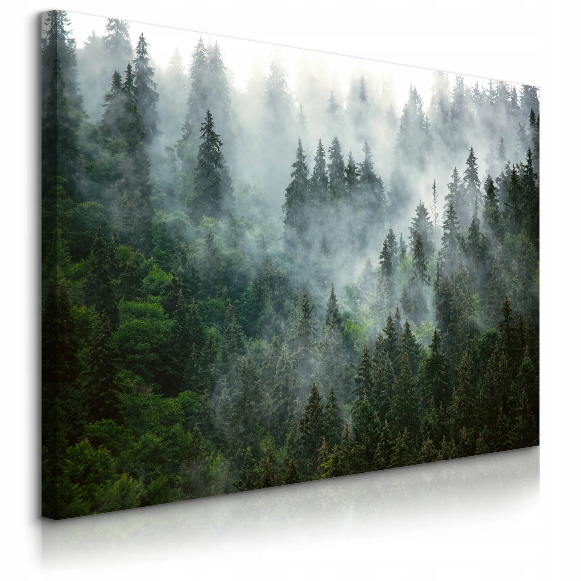 Paveikslas miegamajam svetainei Miškas rūke kalnai gamta kraštovaizdis sienai 120x80