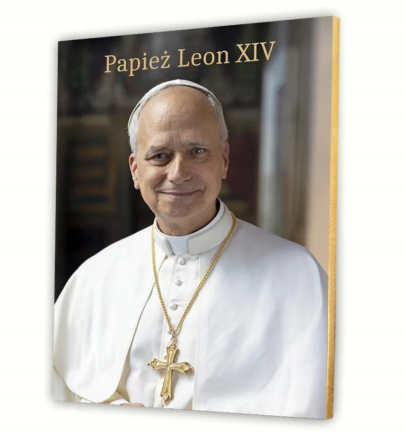 Popiežius Leonas XIV paveikslas ant drobės 30x40cm dovana religija šventasis art #905